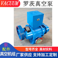 除煙專用羅茨真空泵