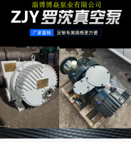 ZJP羅茨真空泵