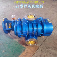 羅茨真空泵