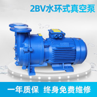2BVA水環(huán)真空泵