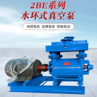 2BE1型 液環(huán)真空泵