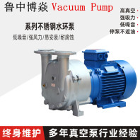 BYDV系列液化真空泵