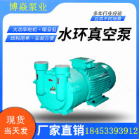 SK-A水環(huán)式真空泵