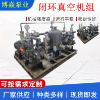 2BW系列閉路循環(huán)真空系統(tǒng)