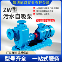 ZW無堵塞自吸泵
