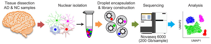 Lau_et_al_PNAS_Fig1.jpg