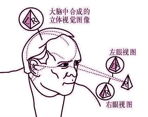 ͼƬ 3.png