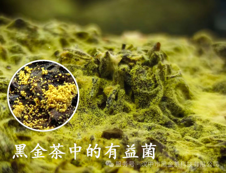 1763968646701674.png 1760348932645362.png