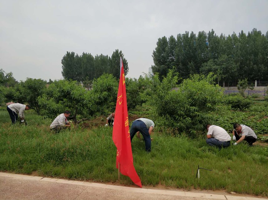 1561477685901656.jpg 微信图片_20190625000515.jpg