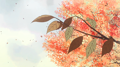 1600908914603197.gif 微信图片_20200924084923.gif