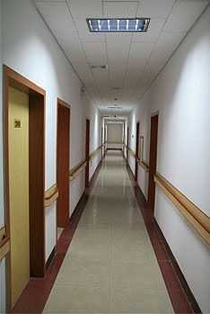20090603102951516.jpg
