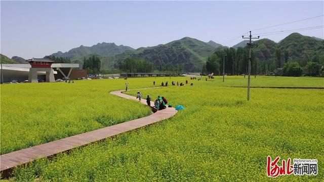 易县田岗村发展生态游山村成网红