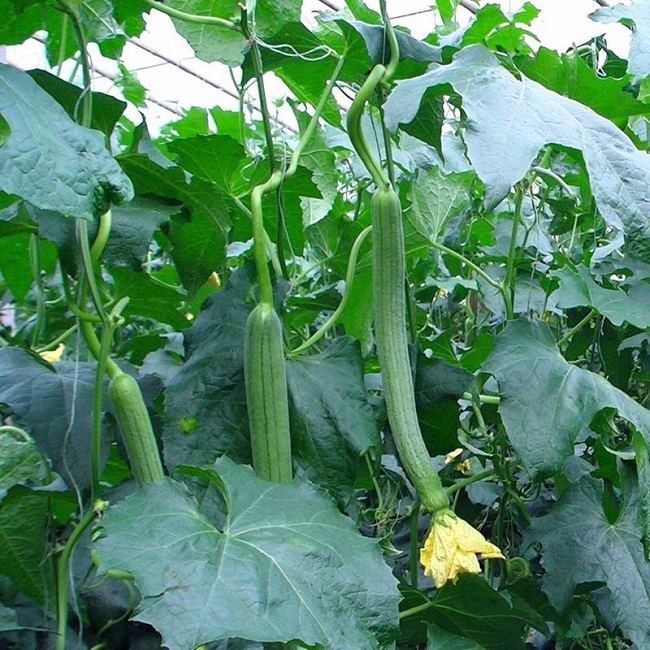 u=4068161571,2380044519&fm=253&fmt=auto