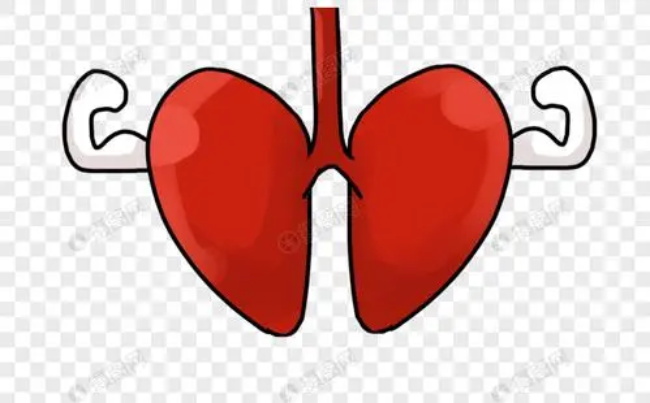 u=1239561795,3748474560&fm=253&app=138&size=w931&n=0&f=JPG&fmt=auto.jpg