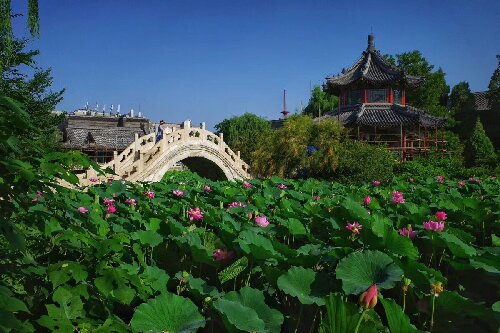 "祝福我的国 敬老在我心"征稿 |我的家乡大美保定_保定老年网