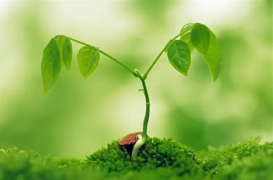 ΢ňDƬ_20230311164002.png