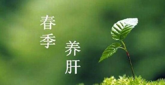 t011ecd5fa02c56a399.jpg