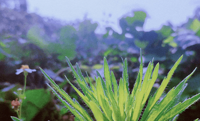 3cc04a48531b46be891d1817f0b17a65.png