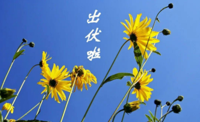 t03781a274058ba3f50.png