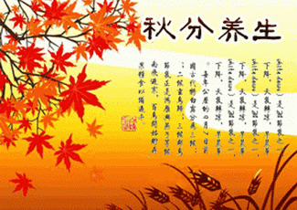 t0178840fb9a4745458.gif
