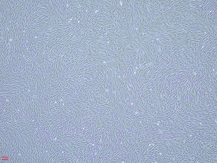 1718851767213655.jpg