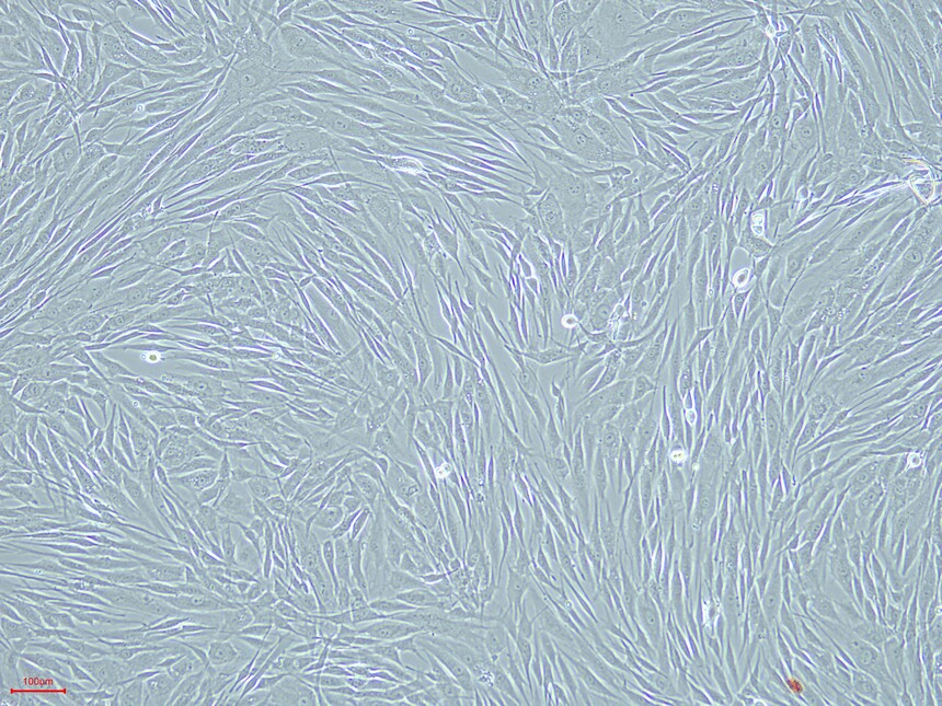 1718851769298440.jpg