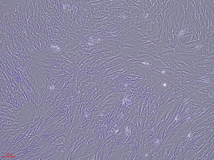 1718851866617986.jpg