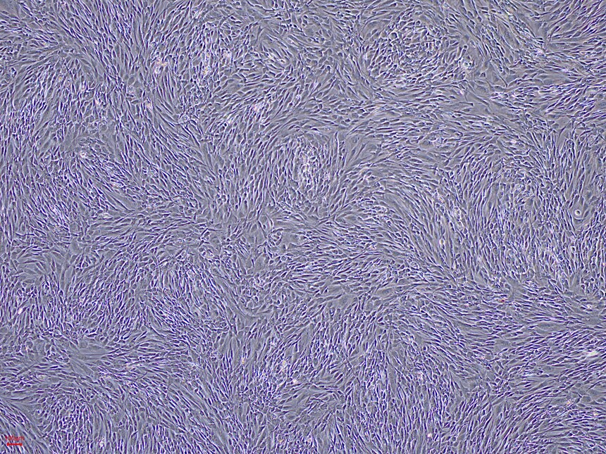 1718851889386819.jpg