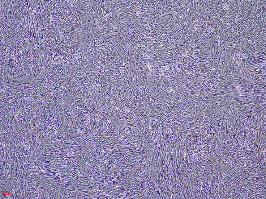 1718851912839263.jpg