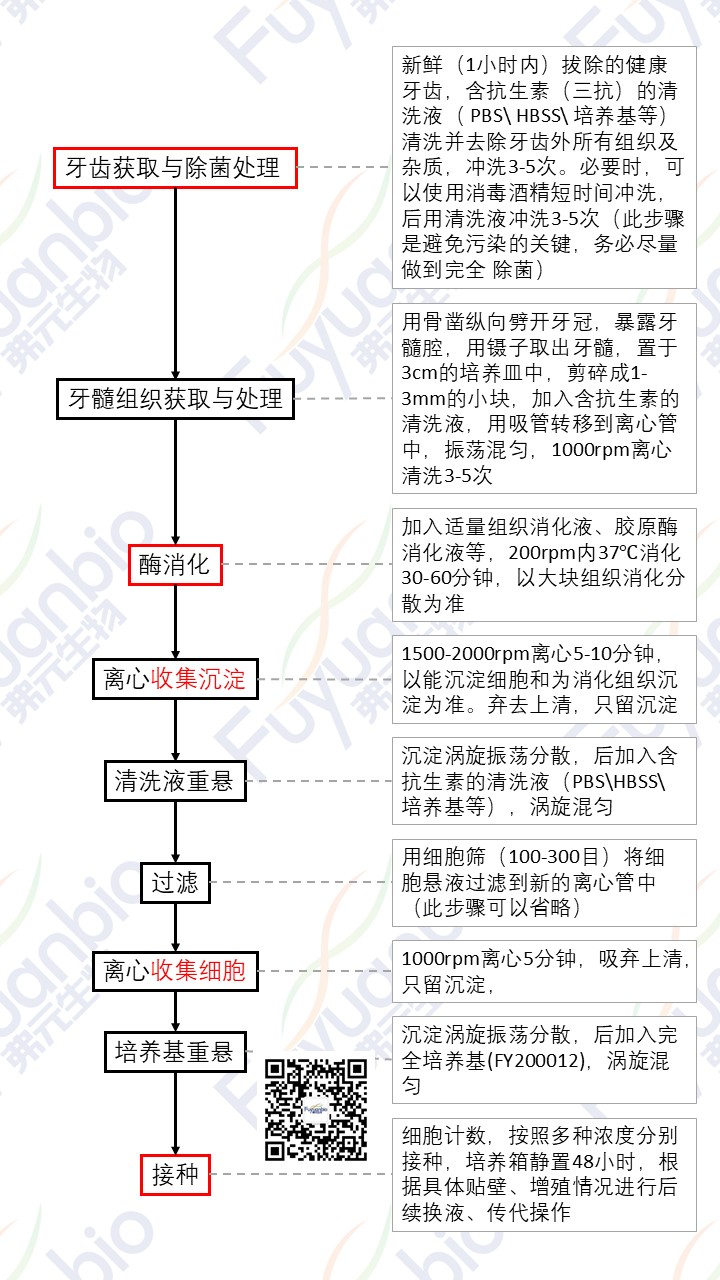 20250210 ʸϸȡ裨ø.jpg