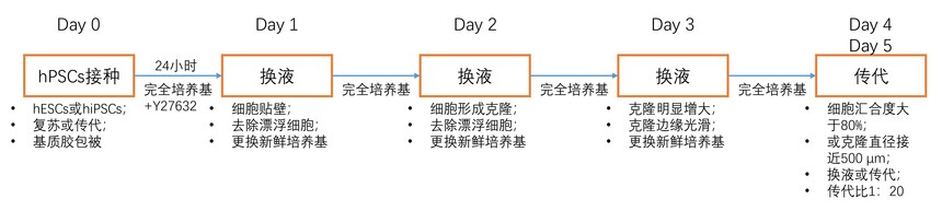 RC200120 FyPluri ES/iPS������.jpg