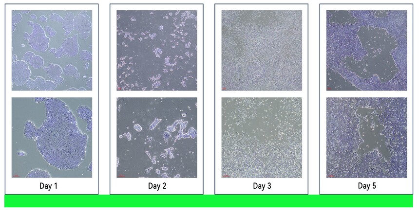 ��Ԫ���� ���������Լ���.jpg