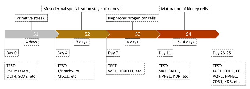 RC200134 ͼ_·��.jpg