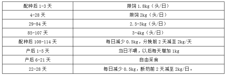 03.jpg