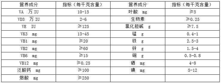 02.jpg