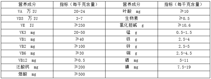 02.jpg