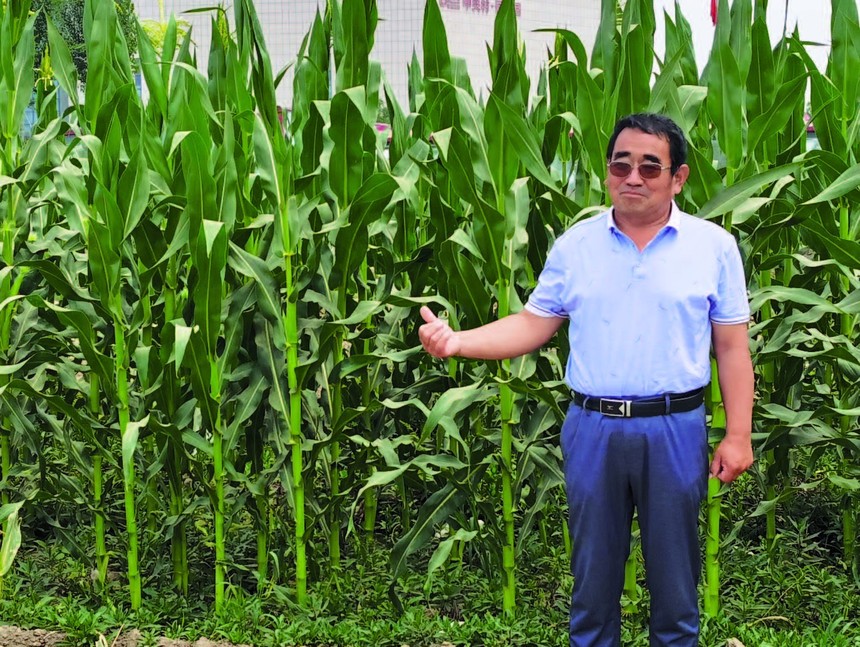 李青山算不明白的土地账