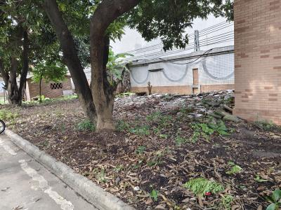 1764640424204315.png 1764640424204315.png