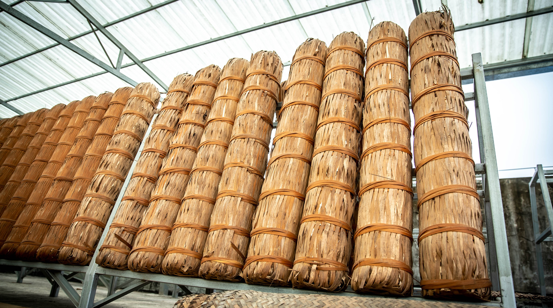 1612162540485774.jpg 1612162540485774.jpg