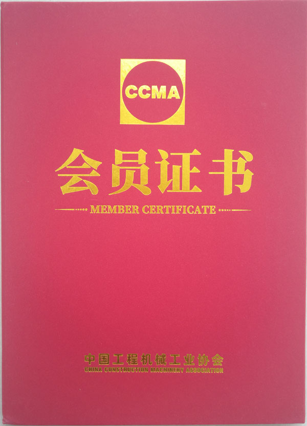1617862704124752.jpg