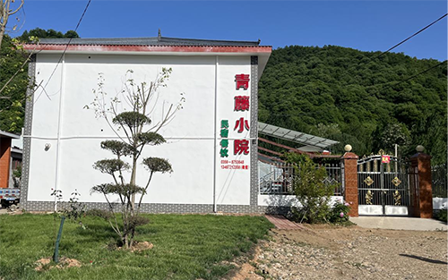 图片11.png