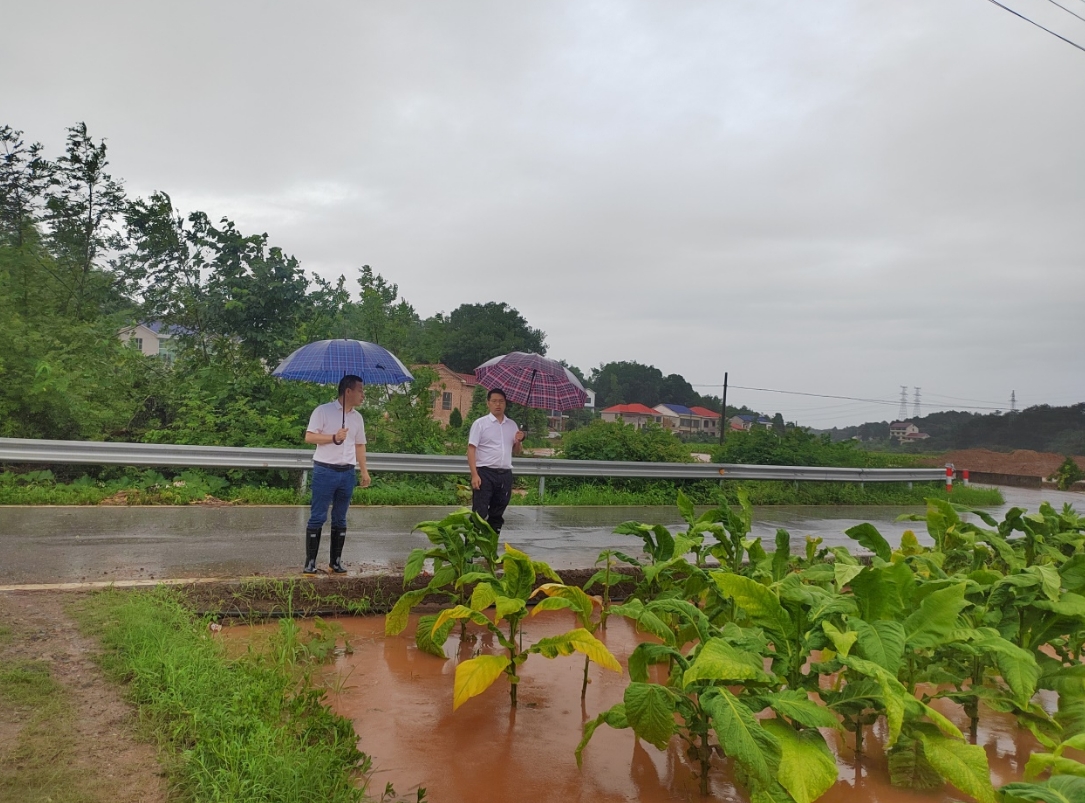 长沙浏阳：防汛抗灾勇担当，风雨同舟共前行