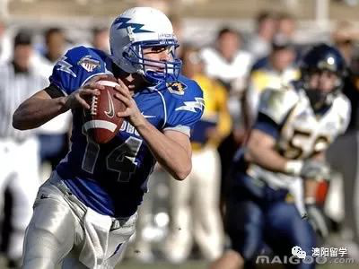 1565579173720002.png 图片11.png