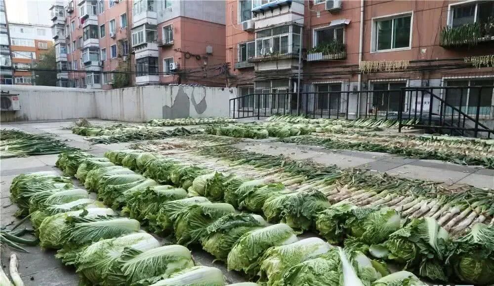 1763442866406858.jpg 1763442866406858.jpg