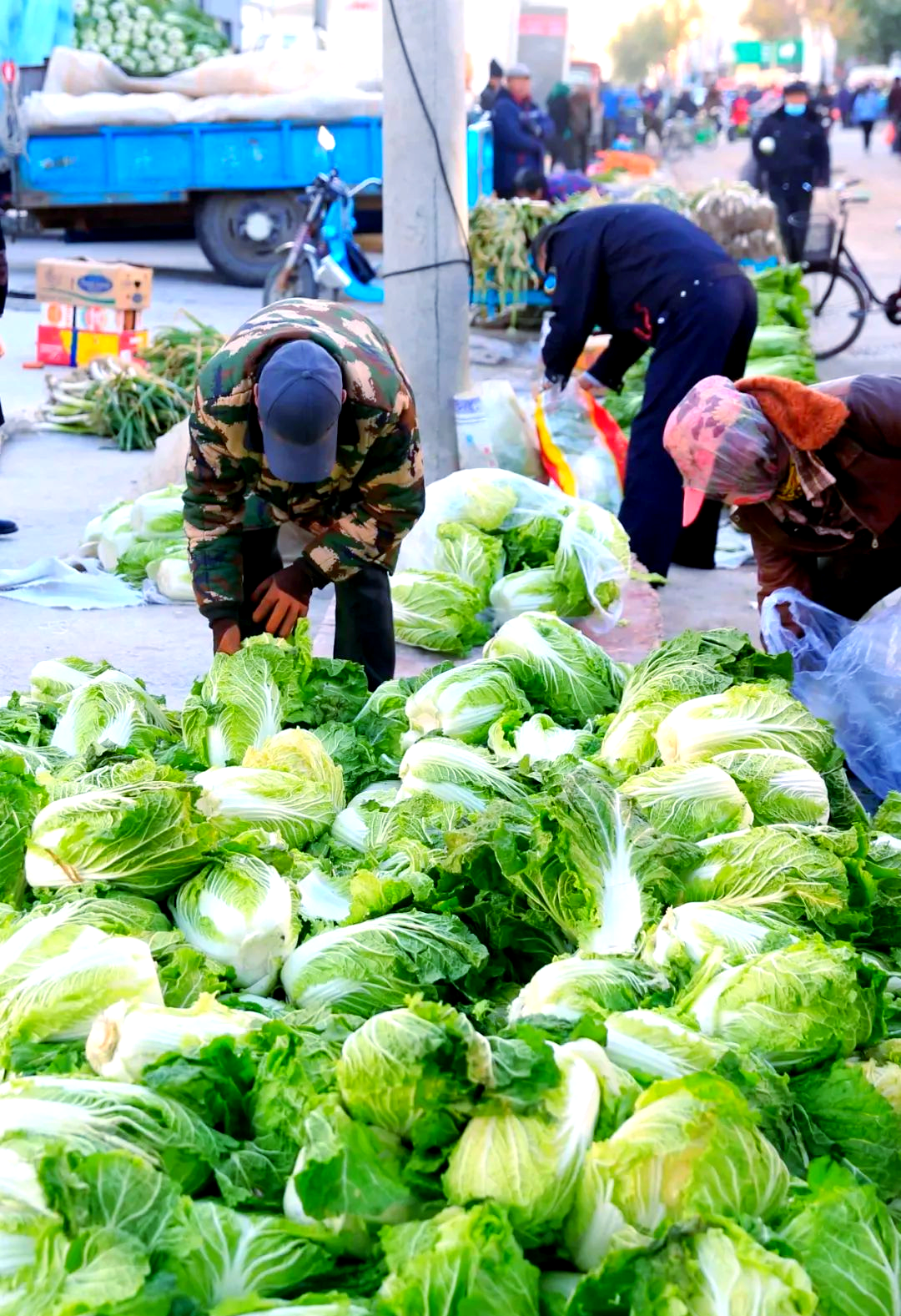 1763442934206102.png 1763442934206102.png