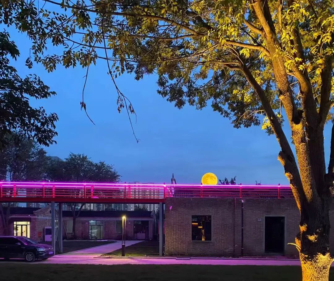 1764035425984012.jpg 1764035425984012.jpg