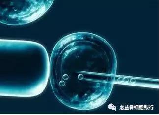 胎盘间充质干细胞储存