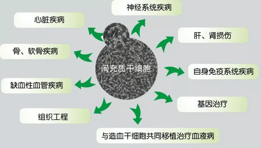 ϸ