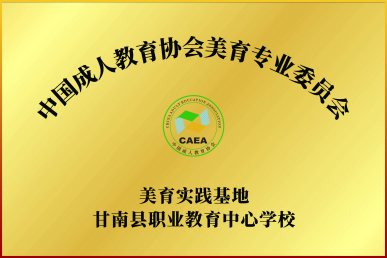公司荣誉