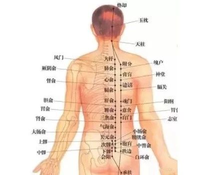 8f1230ee18844c54aeb09d538e4936e6.jpg